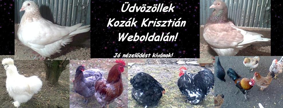 Kozk Krisztin Galambjai